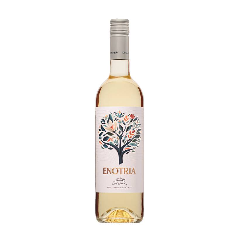 Enotria blanc