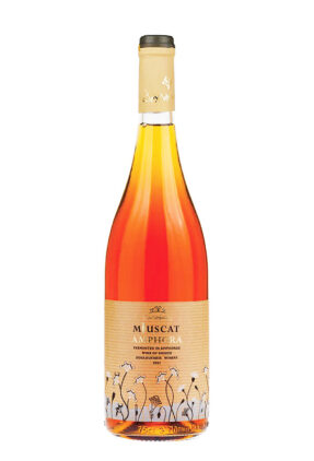 muscat amphora douloufakis